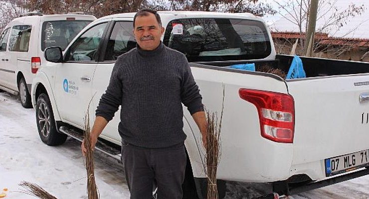 Antalyalı çiftçilere ceviz ve meyve ağacı fidanı dağıtılıyor