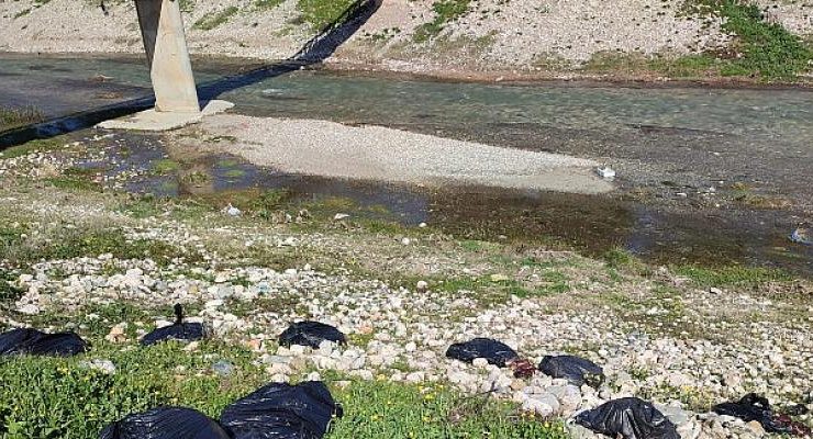 Dere yatağına atılan etler Yenişehir Belediyesi tarafından imha edildi