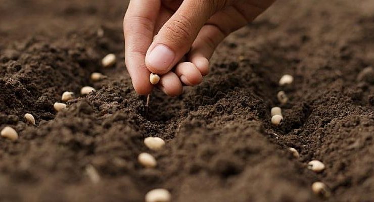 EİB ve SKD’den sürdürülebilir kalkınma için güçbirliği