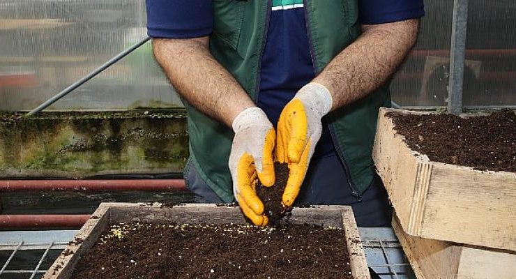 Gölbaşı Belediyesi Ata Tohumlarını Toprakla Buluşturdu