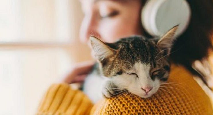 Koçtaş’tan Minik Dostlarımız İçin İndirim Kampanyası