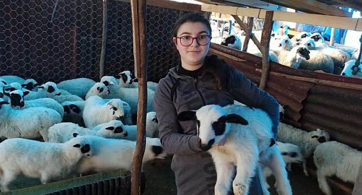 Ordu Büyükşehir Belediye Başkanı Dr. Mehmet Hilmi Güler’in Projesi 2.5 Yılda 5’e Katladı