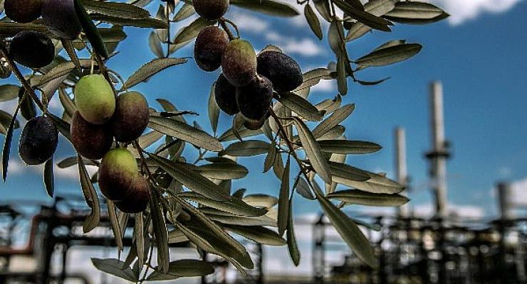 Tüpraş, ‘İklimle Bağlantılı Finansal Beyanlar Görev Gücü’ne’ katıldı