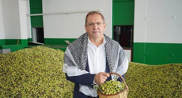 Belediye’nin Zeytin Ağaçlarından 10 Bin 500 Litre Zeytinyağı Elde Edildi