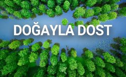Dahua Doğayı Korumak için Karbon Ayak İzini Küçültüyor