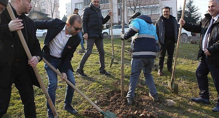 Fidanlar toprakla buluştu