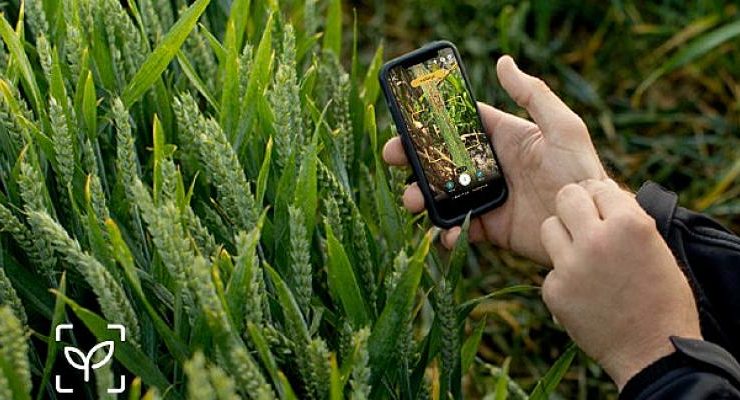 MagicScout ile Saniyeler İçinde Hastalık ve Yabancı Ot Tespiti