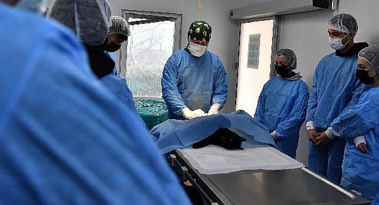 Öğrencilere Uygulamalı Veterinerlik Eğitimi