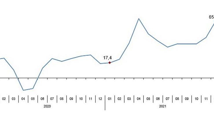 Perakende Satış Endeksleri, Ocak 2022