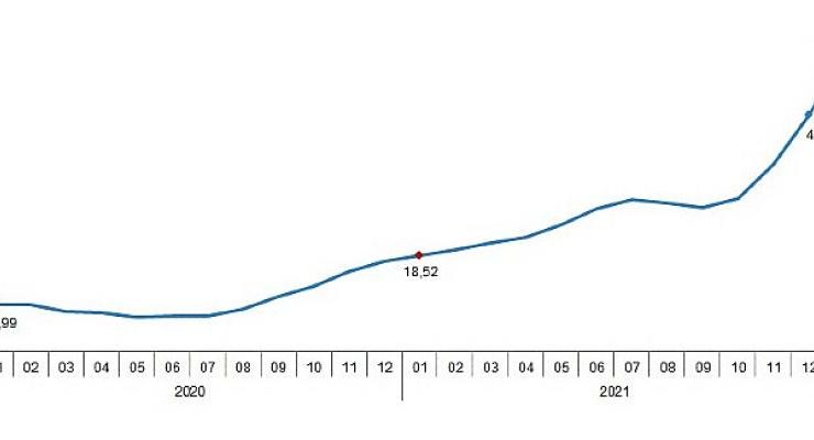 Tarımsal girdi fiyat endeksi (Tarım-GFE) yıllık 57,26, aylık 10,12 arttı