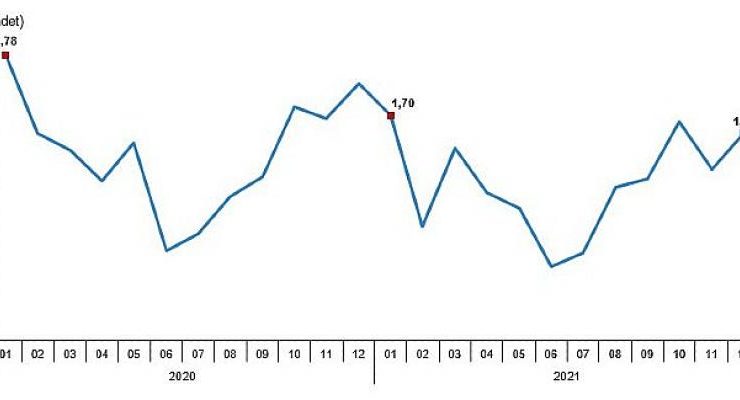 Tavuk eti üretimi 199 bin 454 ton, tavuk yumurtası üretimi 1,67 milyar adet olarak gerçekleşti