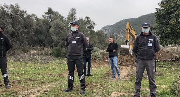 500.000 Kişi Ölmez Ağaç İçin Tek Ses Oldu: “Zeytinime Dokunma!”