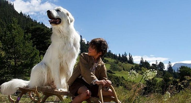 Annneler Günü’ne Özel “Aile Filmleri Özel Seçkisi” Mayıs Ayında FilmBox+’ta