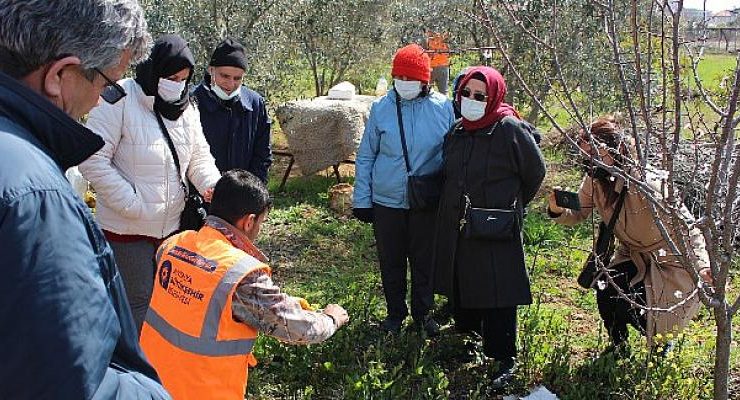 Büyükşehir’den ilçelerde budama ve aşı eğitimi