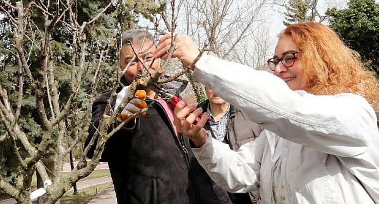 Çankayalı Bahçıvanlar Uygulama Alanında