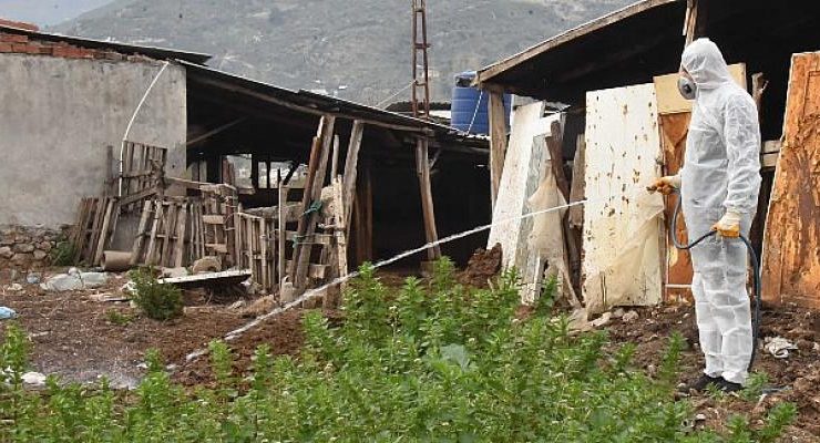 Kemalpaşa’da Larva İle Mücadele Sürüyor