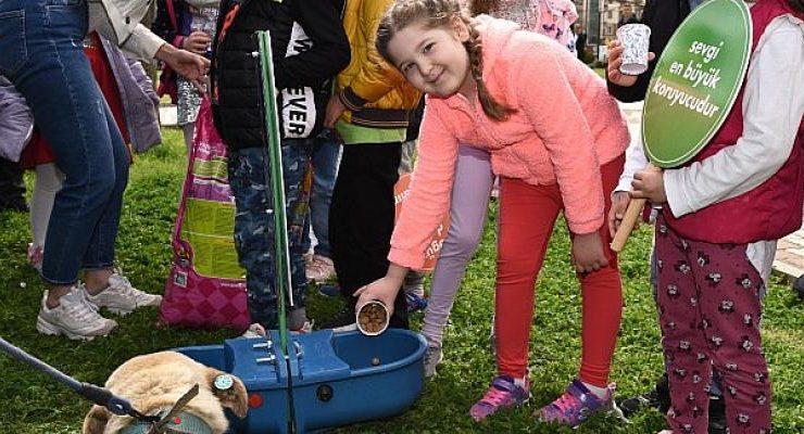 Menemen’de Sokak Hayvanları Günü etkinliği
