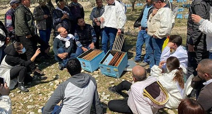 Milas Belediyesinin üreticilere desteği sürüyor.
