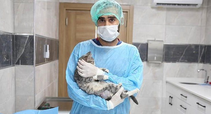 Yeni Yuvalarında Çok Mutlular