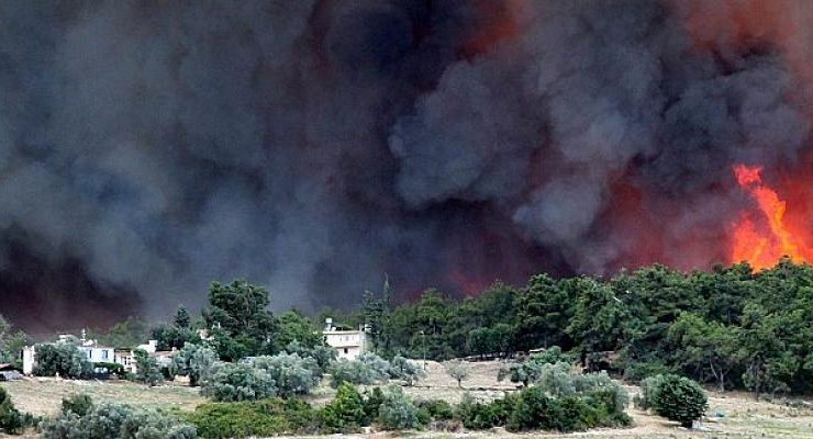 15 Mayıs Dünya İklim Günü’nde İklim İçin Birlikte