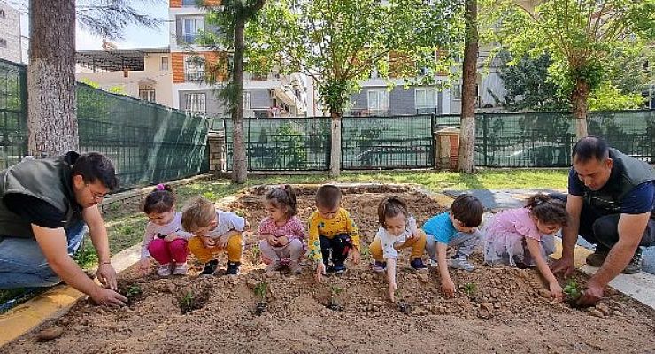 Ata Tohumları Emin Ellerde Hayat Buluyor