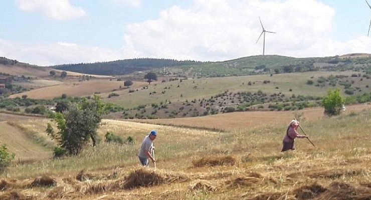 Dünya Çiftçiler Günü Kutlu Olsun!
