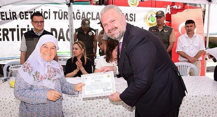İğnedere, Gelir Getiri Ağaç Türleriyle Kalkınacak