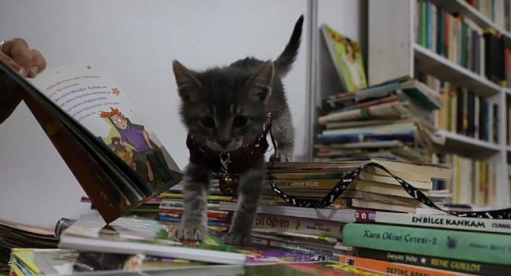 Kitap Fuarı’nın en sevimli misafiri Luna