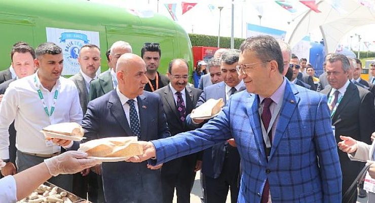 Türk balıkları gardaş sofrasında: Azeriler, Türk balıklarını çok sevdi