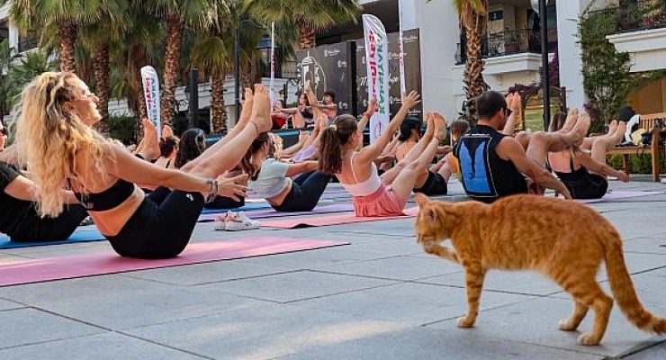 Karşıyaka’da “Dünya Yoga Günü” Buluşması