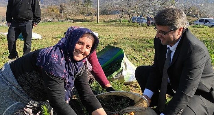 Sekapark A.Ş. organik tarıma geçiş sürecini başlattı