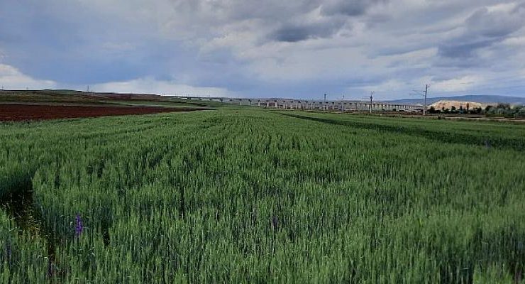 “Su Riskleri Projesi” Skd Türkiye, Ankara Üniversitesi ve Ülker İş Birliğiyle Başlıyor