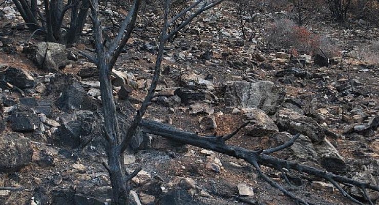 “Traces of Fire” by Şebnem Ünlü 16 – 29 Haziran tarihleri arasında Maslak’ta
