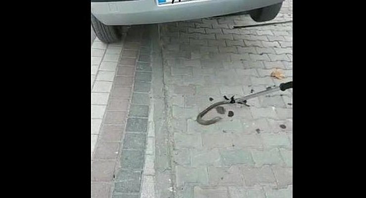 Aracın Aksına Giren Yılan Operasyonla Çıkarıldı