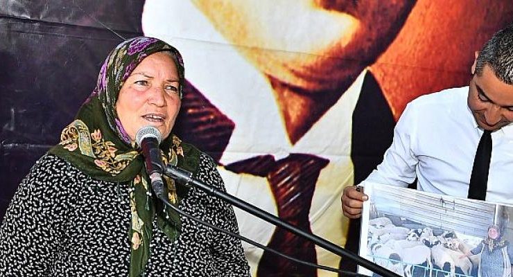 Sürüler büyüyor umutlar artıyor
