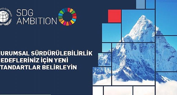 UN Global Compact SKA Hedefi Hızlandırma Programı Türkiye’de başlıyor