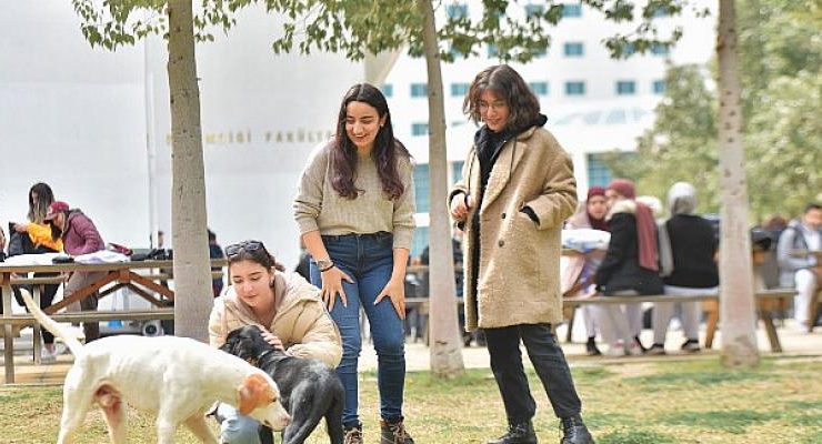 Yakın Doğu Üniversitesi’nde her 3 öğrenciden biri tam burslu!