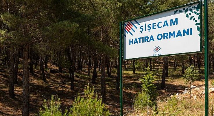 Yatağan’da 400 Dönümlük   Şişecam Hatıra Ormanı