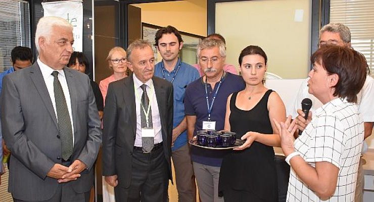 Zeytinyağı tadım eğitimleri yeniden başlıyor