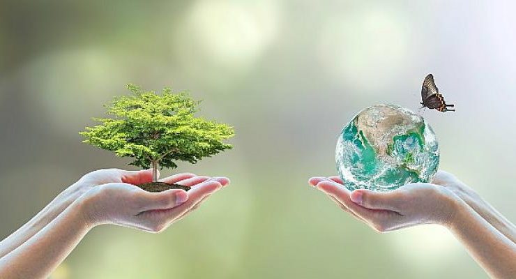 Zorlu Enerji Biyoçeşitlilik Araştırması: Hedef canlıların yaşam alanlarını iyileştirerek korumak