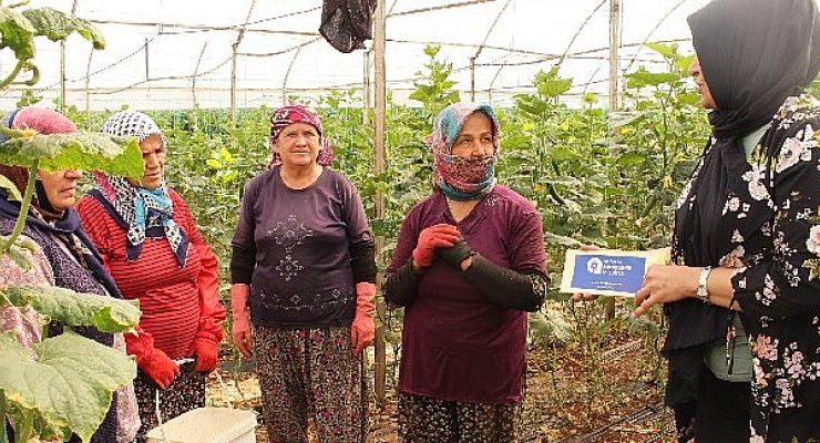 Elmalı’da 10 bin adet yapışkan tuzak dağıtıldı