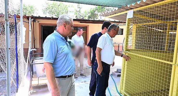 Kemer Belediye Başkanı Topaloğlu: Tüm Canlıları Korumaya Devam Edeceğiz
