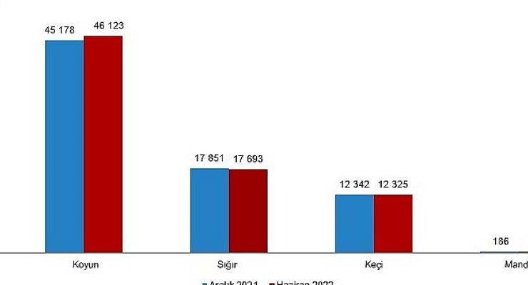 TÜİK Hayvansal Üretim İstatistikleri, Haziran 2022