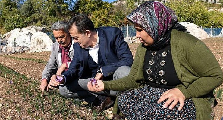 Yenişehir Belediyesi tarımsal danışmanlık hizmeti verecek