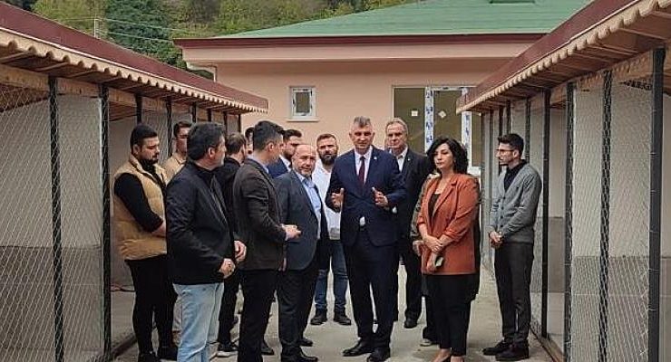 Gölcük’te Can dostlarının yeni yuvası tamamlanıyor