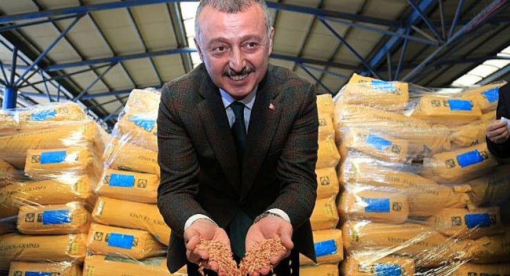 Kocaeli Büyükşehir’in tohum desteği başvuruları sona erdi