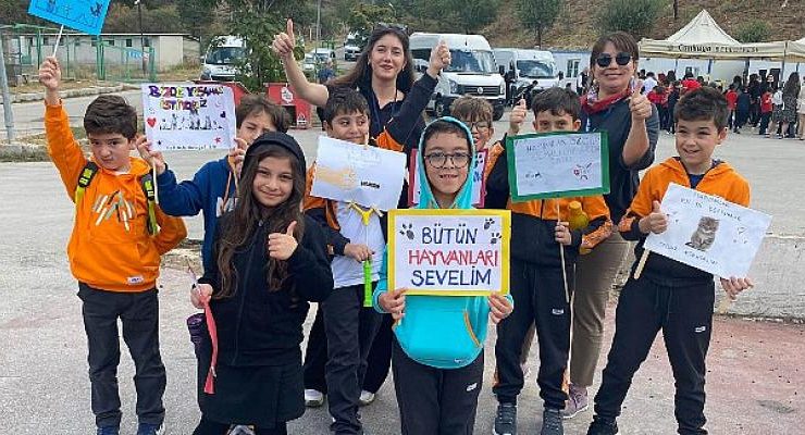 Sokak Hayvanlarına Bir Günde 635 Ziyaretçi
