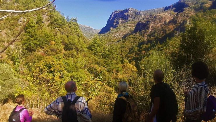 Devlet avlakları da madenlere teslim oluyor