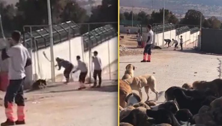 Konya’da katliam: Kürekle vura vura öldürdü