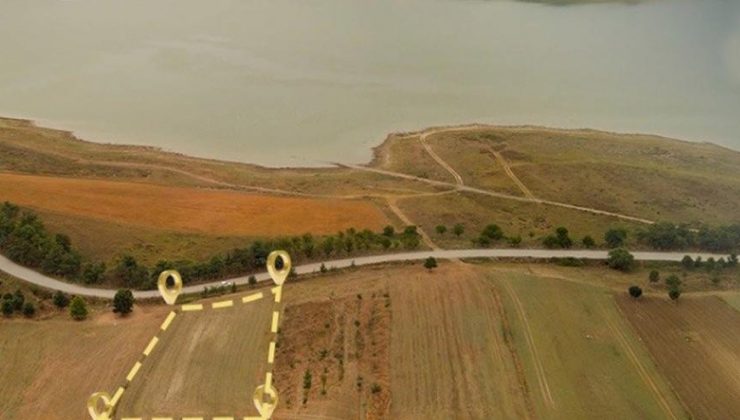Parayı ver arsayı al Türk vatandaşı ol!